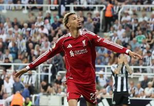 布莱顿队vs纽卡斯尔联队