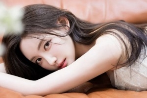 布伦特福德队 vs西汉姆联队